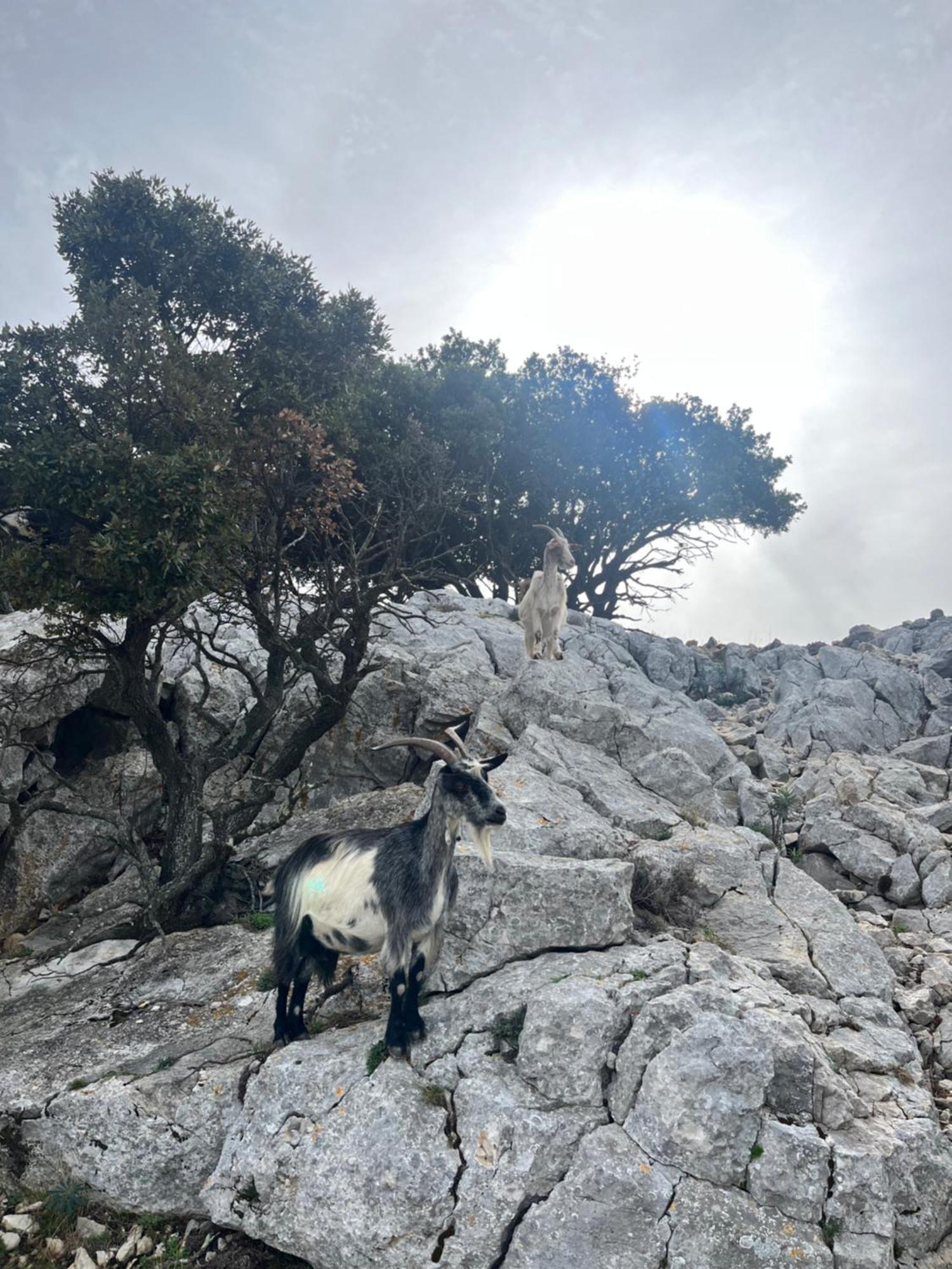Petit Paradis A Sanary Avec Vue Mer Wifi Et Clim Экстерьер фото